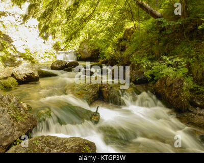 Fiume che scorre nella foresta durante la stagione estiva, otturatore lento, preso in Europa, Slovacchia Foto Stock