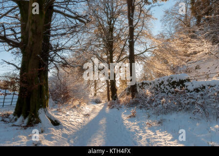 Coperta di neve via attraverso il legno Foto Stock