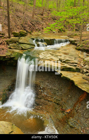 Blue Hen Falls, Cuyahoga Valley National Park, Brecksville, Ohio, Stati Uniti d'America Foto Stock