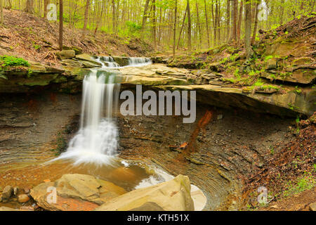 Blue Hen Falls, Cuyahoga Valley National Park, Brecksville, Ohio, Stati Uniti d'America Foto Stock