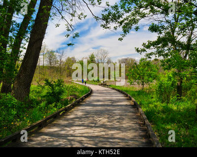 Bacino tozza, Ohio e Canale Erie Alzaia, Cuyahoga Valley National Park, Brecksville, Ohio, Stati Uniti d'America Foto Stock