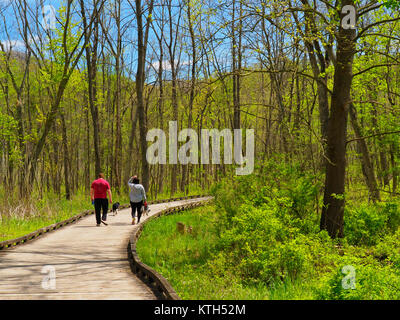 Bacino tozza, Ohio e Canale Erie Alzaia, Cuyahoga Valley National Park, Brecksville, Ohio, Stati Uniti d'America Foto Stock