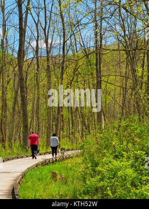 Bacino tozza, Ohio e Canale Erie Alzaia, Cuyahoga Valley National Park, Brecksville, Ohio, Stati Uniti d'America Foto Stock