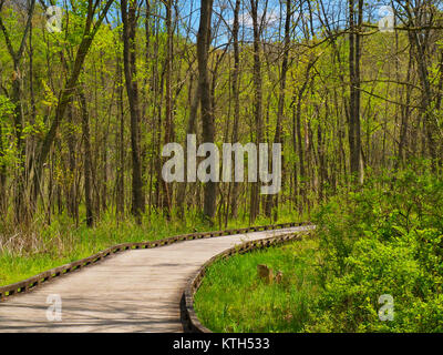 Bacino tozza, Ohio e Canale Erie Alzaia, Cuyahoga Valley National Park, Brecksville, Ohio, Stati Uniti d'America Foto Stock