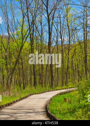 Bacino tozza, Ohio e Canale Erie Alzaia, Cuyahoga Valley National Park, Brecksville, Ohio, Stati Uniti d'America Foto Stock