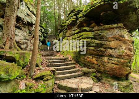 Battute Trail, Cuyahoga Valley National Park, Brecksville, Ohio, Stati Uniti d'America Foto Stock