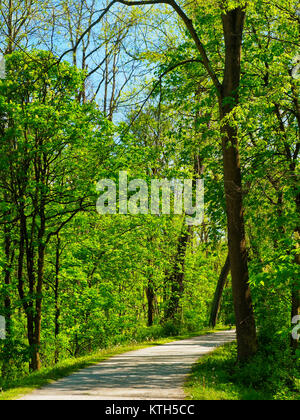 Ohio e Canale Erie Alzaia, serratura profonda zona estrattiva, Cuyahoga Valley National Park, Brecksville, Ohio, Stati Uniti d'America Foto Stock