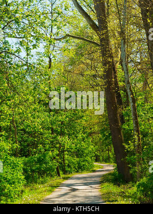 Ohio e Canale Erie Alzaia, serratura profonda zona estrattiva, Cuyahoga Valley National Park, Brecksville, Ohio, Stati Uniti d'America Foto Stock