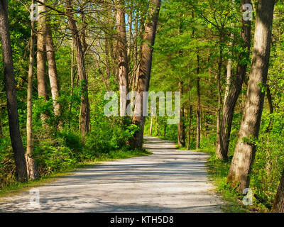 Ohio e Canale Erie Alzaia, serratura profonda zona estrattiva, Cuyahoga Valley National Park, Brecksville, Ohio, Stati Uniti d'America Foto Stock