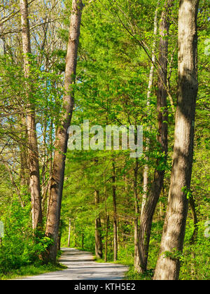 Ohio e Canale Erie Alzaia, serratura profonda zona estrattiva, Cuyahoga Valley National Park, Brecksville, Ohio, Stati Uniti d'America Foto Stock