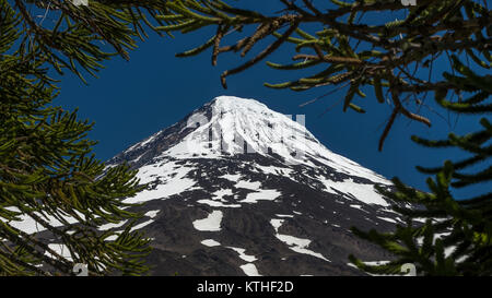 Volcán Lanin /Lanin vulcano Foto Stock