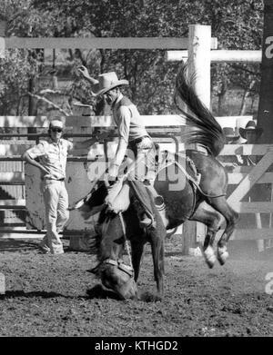 KINGAROY, AUSTRALIA, circa 1980: Unidentified contestant cavalca un strappi bronco durante una piccola città rodeo, circa 1980 in Kingaroy, Australia Foto Stock