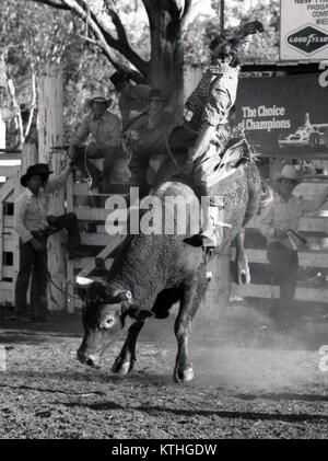 PROSTON, AUSTRALIA, circa 1980: Unidentified contestant cavalca un toro durante una piccola città rodeo, circa 1980 in Proston, Australia Foto Stock