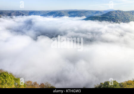 Montagne e nebbia nubi in mattinata galleggiante sopra gli alberi forestali, copertura, blanketing valley in Grandview si affacciano, West Virginia Foto Stock