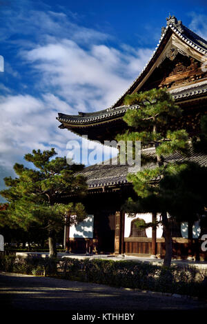 Pini nella parte anteriore del Kennin-ji, Kenninji, Zen giapponesi tempio buddista, sala principale in autunno alba. Il quartiere di Gion, Komatsucho, Higashiyama Ward, Foto Stock