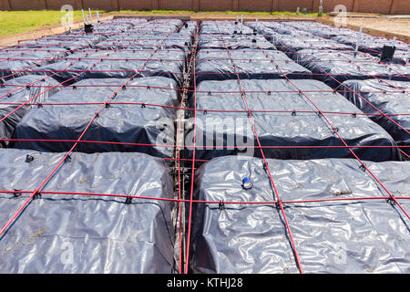 Singola famiglia Home costruzione Post-Tensioned bramma Foundation Foto Stock