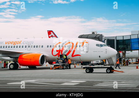 I lavoratori aeroportuali a Rio de Janeiro Santos Dumont prelevamento in aeroporto' i bagagli dei passeggeri di un aereo di linea di Gol che opera voli nazionali Foto Stock