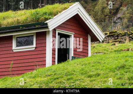 Zolle d'erba utilizzato come materiale di copertura sulla Norwegian stabile Foto Stock