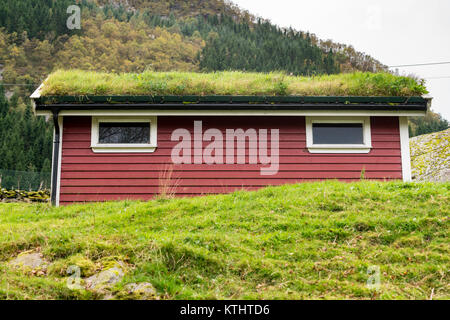 Zolle d'erba utilizzato come materiale di copertura sulla Norwegian stabile Foto Stock