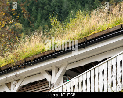 Zolle d'erba utilizzato come materiale di copertura sulla Norwegian stabile Foto Stock