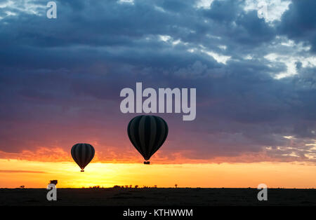 I palloni ad aria calda per safari la visione di gioco che si eleva al di sopra del savannah con un drammatico, colouful sunrise, il Masai Mara, Kenya Foto Stock