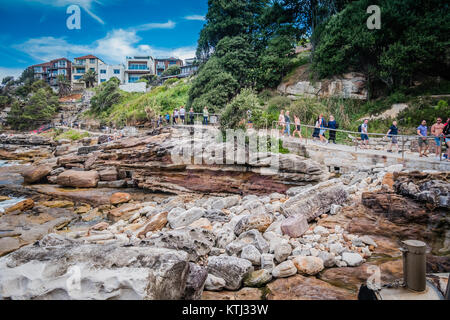 Per Bondi e Coogee passeggiata costiera di Sydney Foto Stock