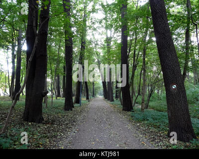 Questa immagine raffigura un progetto di costruzione con particolare attenzione ai lavori di costruzione datati settembre 2009. Riflette lo sviluppo architettonico e urbano della zona, mostrando il design e l'evoluzione dell'edificio nel tempo. Foto Stock