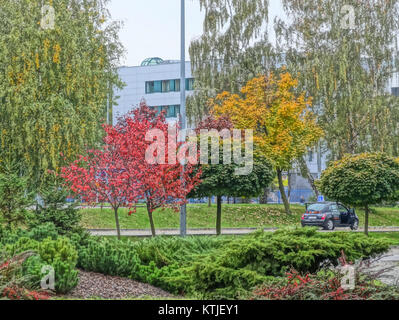 Bdg parkCentralny j 6 09 2013 Foto Stock