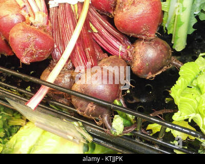 Le barbabietole sono una radice vegetale spesso utilizzata in varie applicazioni culinarie. L'immagine mostra le barbabietole conservate su uno scaffale, indicando eventualmente un metodo di conservazione o una parte di stoccaggio agricolo. Foto Stock