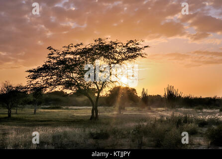 Questa splendida immagine di un tramonto retroilluminato sull'isola di Margarita, in Venezuela, cattura la bellezza del paesaggio naturale. I colori vivaci esaltano l'atmosfera serena e il fascino tropicale del islandÂ. Foto Stock