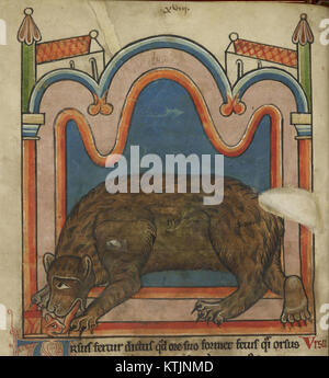 Questa pagina del manoscritto miniato del Bestiario (1230-1240) raffigura un orso che lecca un cucciolo, mostrando vedute medievali sul comportamento animale e il simbolismo nel contesto della natura e della morale. Foto Stock