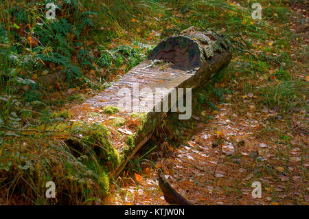Panca di legno nella foresta, realizzato da banco di registri Foto Stock