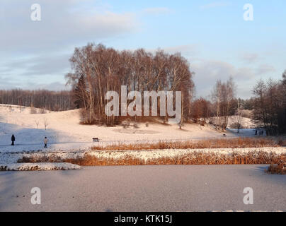 Una fotografia del giardino botanico scattata il 13 gennaio 2015, che mostra le diverse specie di piante e il paesaggio nel giardino. L'immagine riflette il ruolo del giardino nel preservare la flora e offrire uno spazio per il relax. Foto Stock