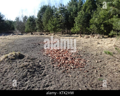 Questa immagine mostra l'edificio Zolwin, scattato il 16 marzo 2015. L'edificio rappresenta l'architettura contemporanea e lo sviluppo urbano nell'area. La foto cattura il design e le caratteristiche moderne della struttura, riflettendo le tendenze attuali nello stile architettonico e nella pianificazione urbana. Foto Stock