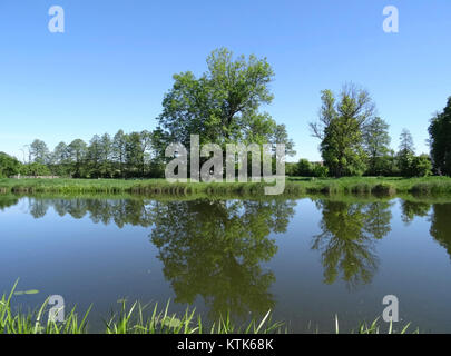 Questa immagine cattura il canale Bydgoszcz, un'importante via d'acqua a Bydgoszcz, in Polonia, che mostra la struttura del canale e l'ambiente circostante nel maggio 2015. Foto Stock