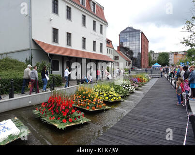 Il BDG Festival Wodny 2015, tenutosi a Miedzywodzie, in Polonia, è stato un festival acquatico che ha celebrato gli sport acquatici, la consapevolezza ambientale e le attività culturali. Ha caratterizzato vari eventi, che hanno attirato sia la gente del posto che i turisti nella regione. Foto Stock