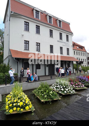 Il BDG Festival Wodny 2015 a Miedzywodzie, Polonia, è stato un evento di sport acquatici che ha caratterizzato una varietà di attività e competizioni legate all'acqua, attirando appassionati da tutta la regione. Foto Stock