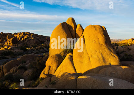 Rocce giganti nel Parco nazionale di Joshua Tree, Deserto Mojave, CALIFORNIA, STATI UNITI D'AMERICA Foto Stock