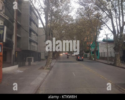 L'Avenida General Fructuoso Rivera a Montevideo, Uruguay, è un viale importante noto per la sua atmosfera vivace e il ruolo significativo nel trasporto e nel commercio del cityâ. Il viale è fiancheggiato da vari negozi, caffetterie e spazi culturali, e funge da importante punto di riferimento sia per la gente del posto che per i visitatori. L'area riflette la dinamica vita urbana di Montevideo. Foto Stock