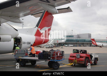 BRISBANE, Australia, Settembre 24, 2008: bagaglio di gestori di velivoli di carico a Brisbane Airpport domestico terminale su Settembre 24, 2008 a Brisbane, Australia Foto Stock