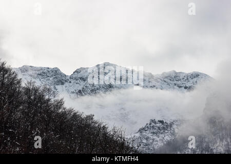 I picchi delle montagne Alpine germogliano dalla nebbia, atmosfera ricca di fascino e di mistero Foto Stock