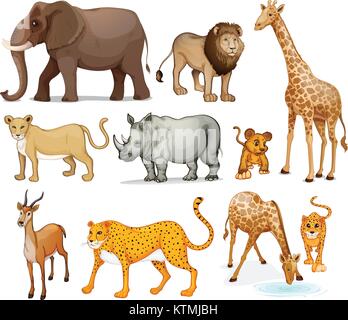 Illustrazione di animali in su sfondo bianco Illustrazione Vettoriale