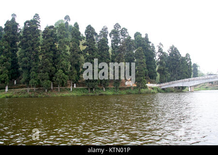 Distesa di acqua di lago con alti pini lungo la banca Foto Stock
