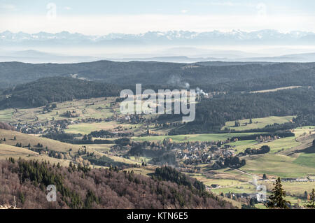 Vista da Herzogenhorn in Schwarzwald (Foresta Nera) sulle Alpi della Svizzera Foto Stock