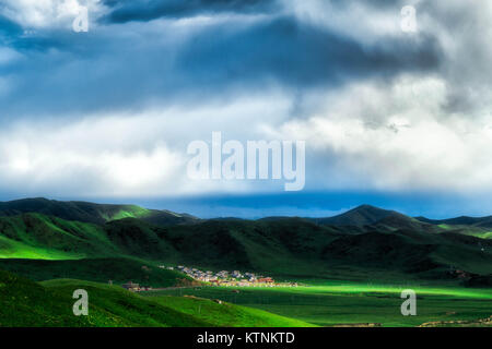 Cina. 27 Dic, 2017. Cina-2017:(solo uso editoriale. Cina) la fotografia aerea dei fiori che sbocciano in Zhengzhou, centrale cinese della Provincia di Henan. Credito: SIPA Asia/ZUMA filo/Alamy Live News Foto Stock