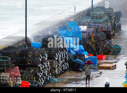 Newquay, Regno Unito. 27 Dic, 2017. Regno Unito Meteo. Folk inseguiti e catturati fuori da alte onde del vento sulla parete del porto di Newquay. 27th, dicembre, 2017 Credit: Robert Taylor/Alamy Live News Foto Stock