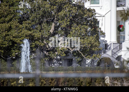 Washington, Distretto di Columbia, Stati Uniti d'America. Il 26 dicembre, 2017. Il lato sud della Casa Bianca di Washington DC che mostra la storica Jackson albero di magnolia che è programmata per essere rimossa al più presto su Martedì, 26 dicembre 2017.Credit: Ron Sachs/CNP. Credito: Ron Sachs/CNP/ZUMA filo/Alamy Live News Foto Stock