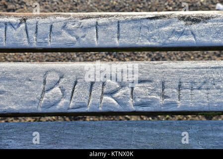 Finsbury Park, London, Regno Unito. 28 dicembre, 2017. Frosty mattina a Finsbury Park, Londra. Credito: Matteo Chattle/Alamy Live News Foto Stock