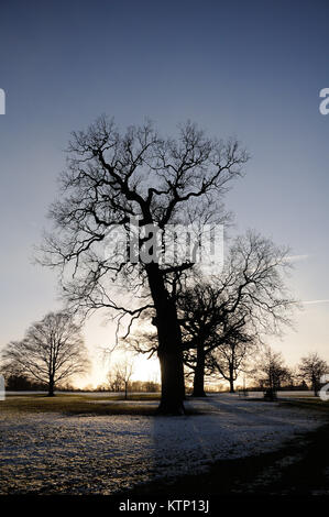 Burghley Park, Regno Unito. 28 dicembre, 2017. Una bella scena invernale dopo la neve è scesa in Burghley Park, Stamford, Lincolnshire. Credito: Jonathan Clarke/Alamy Live News Foto Stock