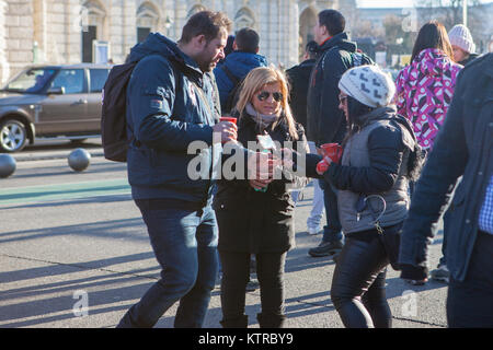 Burgtheater di Vienna City Hall Square di Natale. Foto Stock